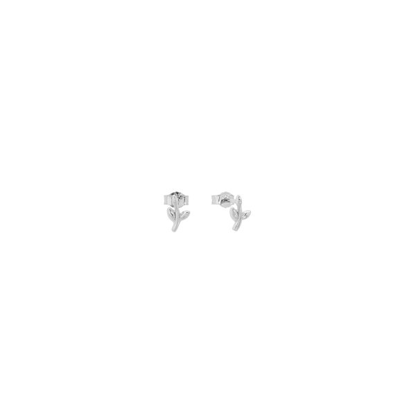Stud earrings branch in sterling silver,  rodium plated