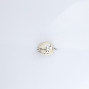 Σκουλαρίκι Πεταλούδα ασήμι με μαύρο πλατίνωμα – –